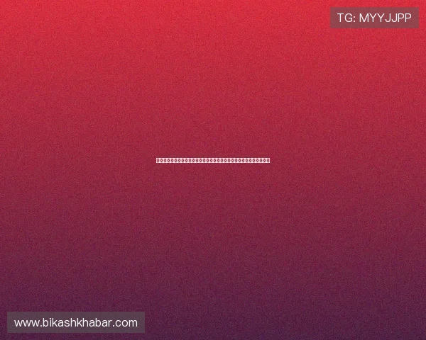 新球体育旧版本全面回顾：如何在世界杯期间优化网站内容提升用户体验